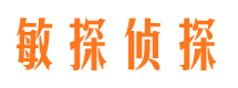 月湖侦探公司